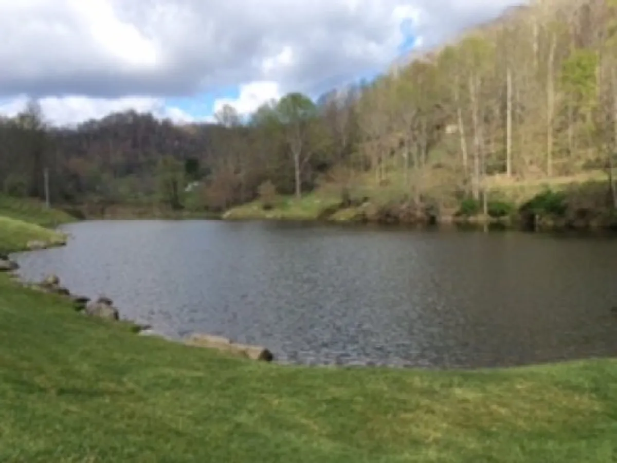 A tranquil view of a calm lake surrounded by lush greenery and distant hills, with the water reflecting the serene sky. The banks of the lake offer plenty of space for fishing, picnicking, or simply enjoying the natural scenery.